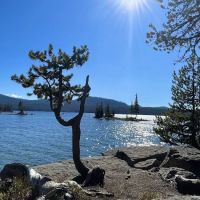 Waldo Lake Shadow Bay Willamette NF ico