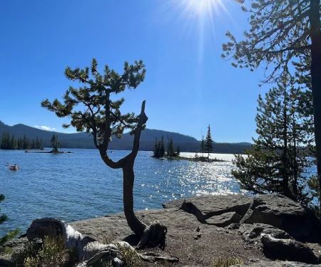 Waldo Lake Shadow Bay Willamette NF