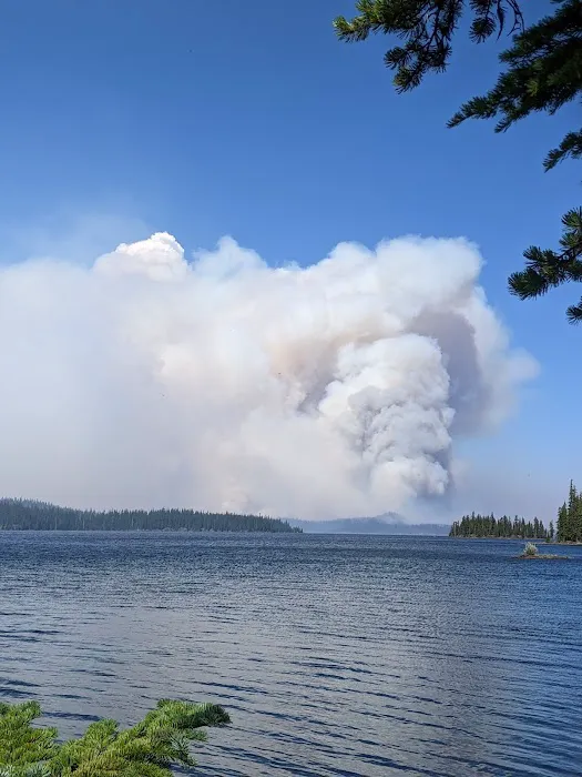 Waldo Lake Shadow Bay Willamette NF Picture 10