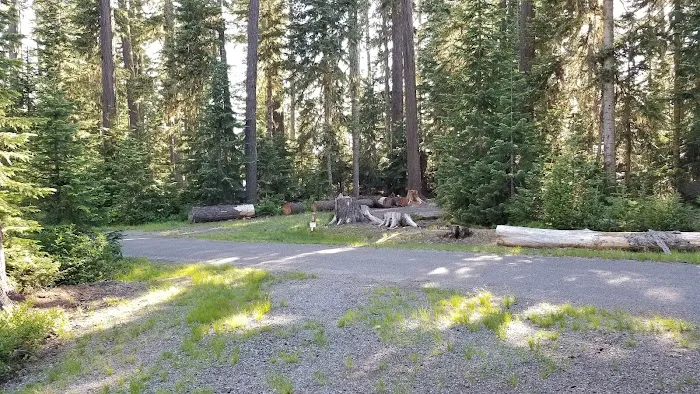 Waldo Lake Shadow Bay Willamette NF Picture 5