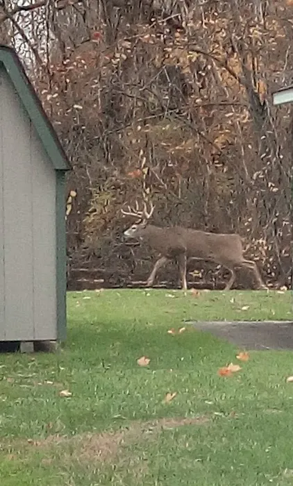 Shel Mar Estates Mobile Home Community Picture 5