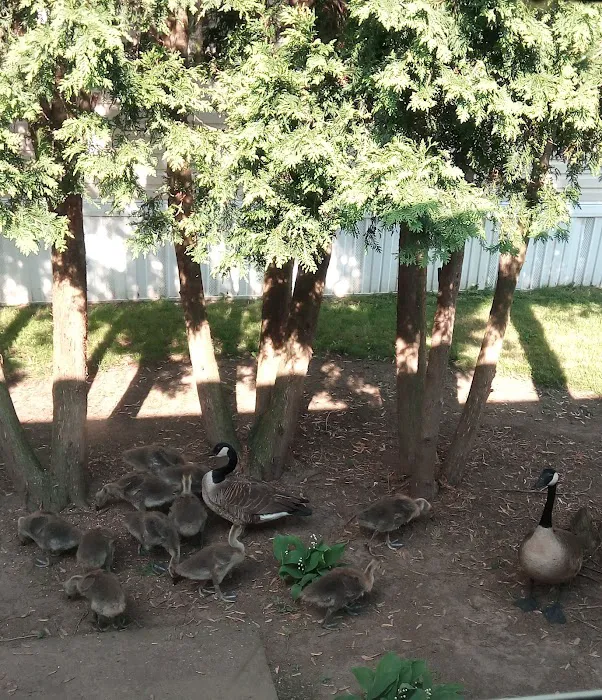 Shel Mar Estates Mobile Home Community Picture 9