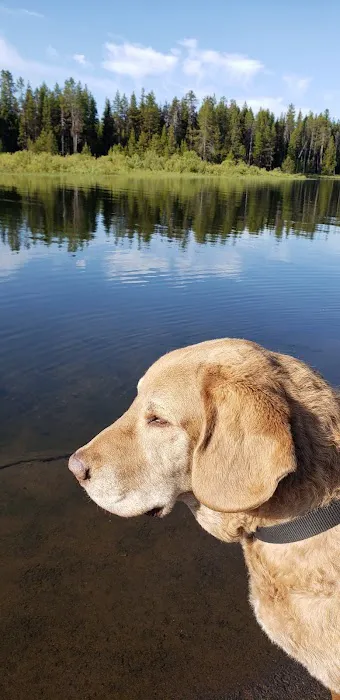 Quinn River Boating Site Picture 6
