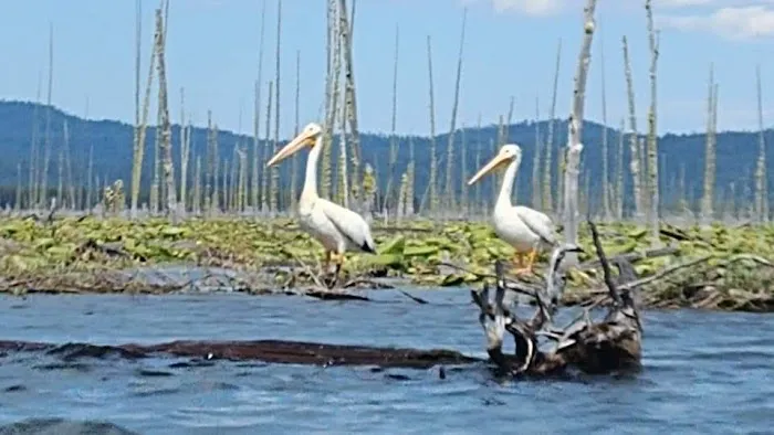 Quinn River Boating Site Picture 3