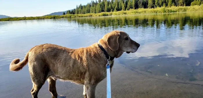 Quinn River Boating Site Picture 8