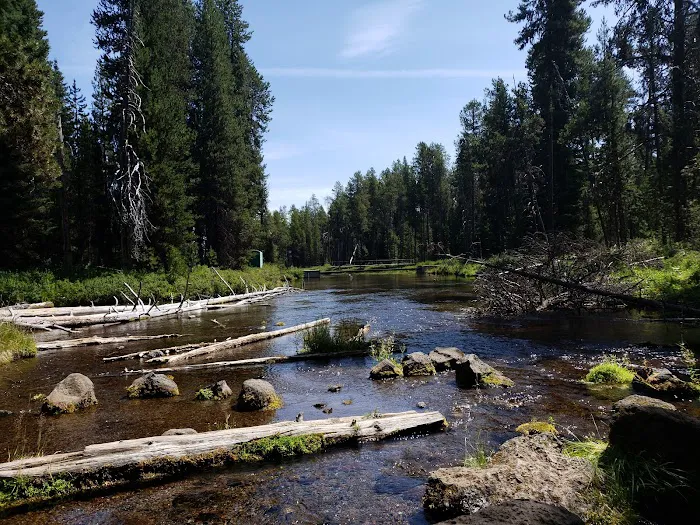 Quinn River Boating Site Picture 10