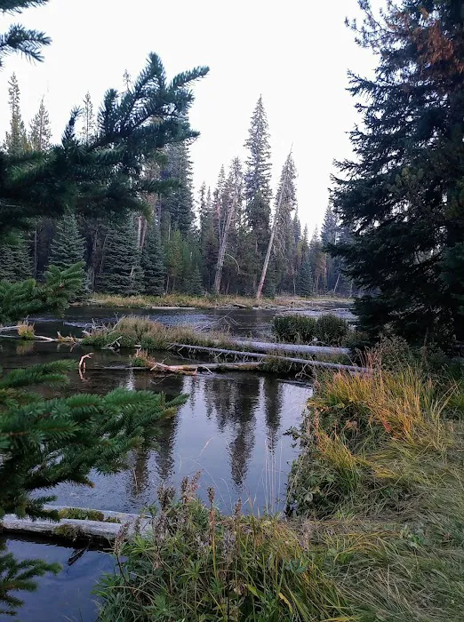 Cultus Corral Horse Camp Picture 2