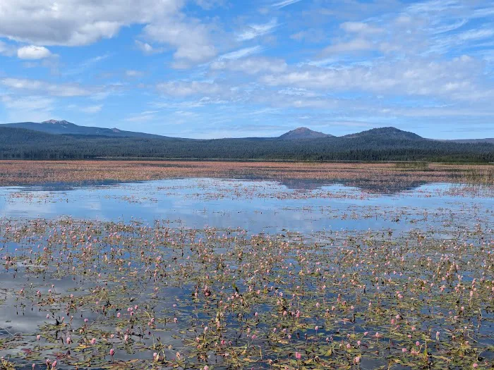 Crane Prairie Reservoir (recgovnpsdata) Picture 2