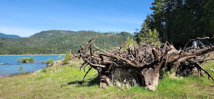 Packard Creek Campground Picture 4