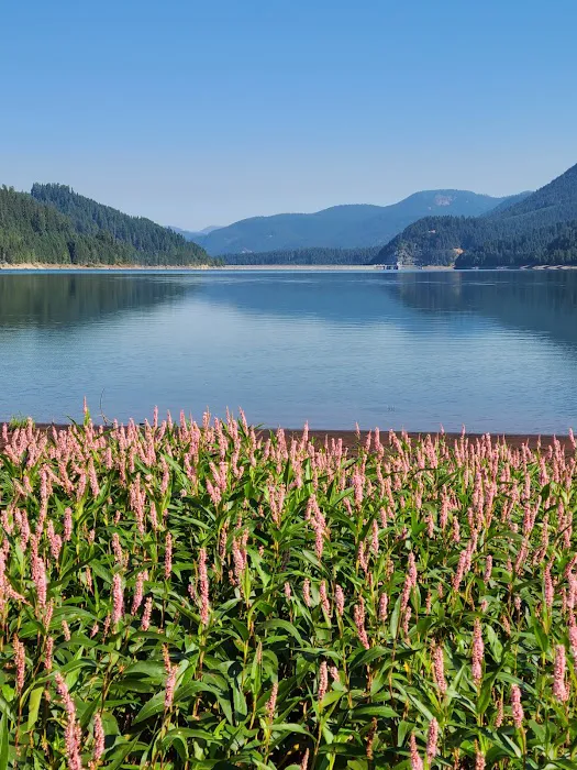 Packard Creek Campground Picture 6