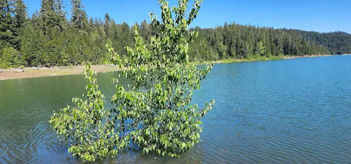 Packard Creek Campground Picture 3