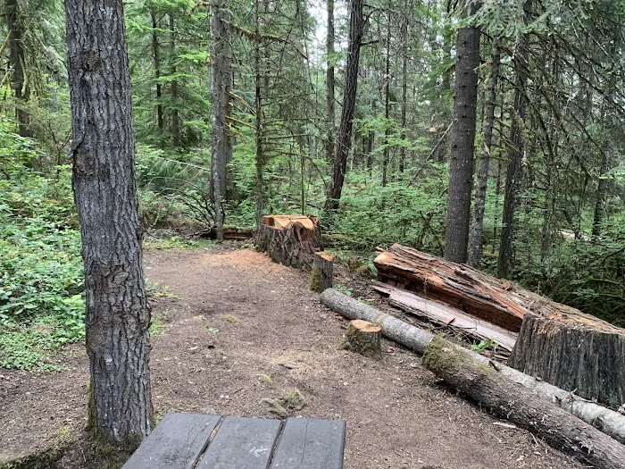 Packard Creek Campground Picture 9