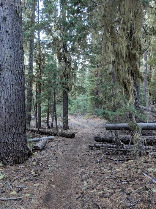 Mount Ray Trailhead Picture 2