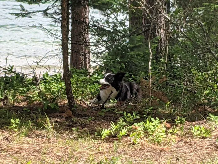 Reeder Bay Campground Picture 10