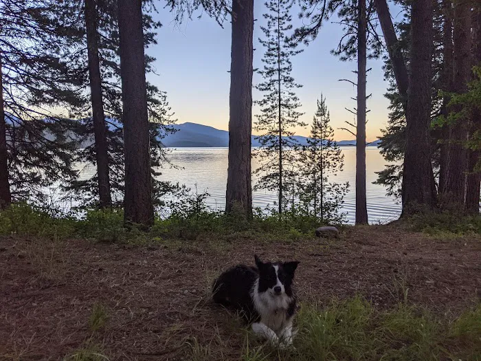 Reeder Bay Campground Picture 8