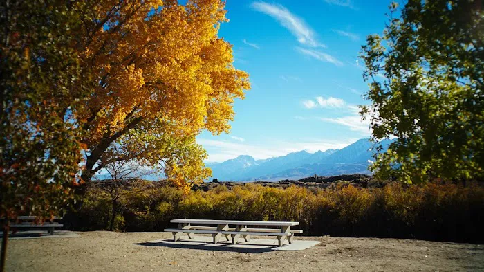 Raymont RV Park Picture 9