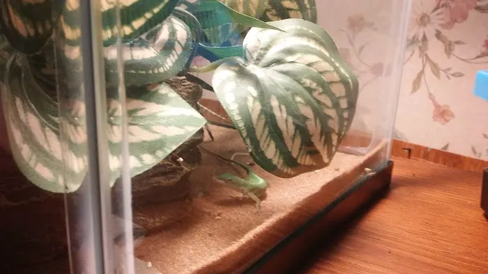 Phillips Daniel R Picture 2