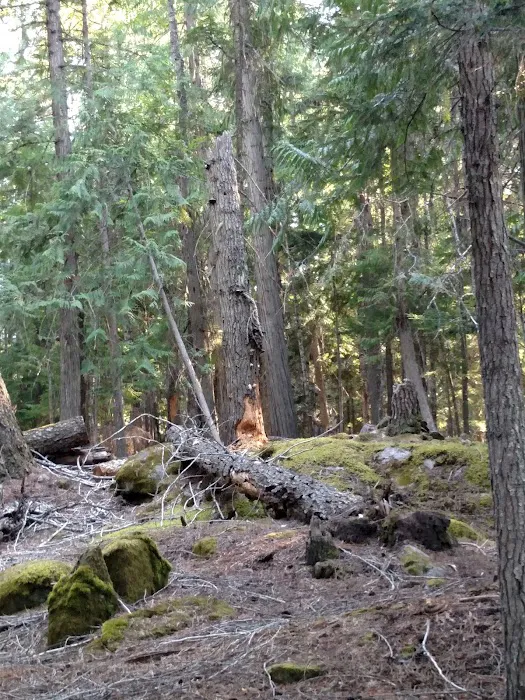 North Cove Campground Picture 5