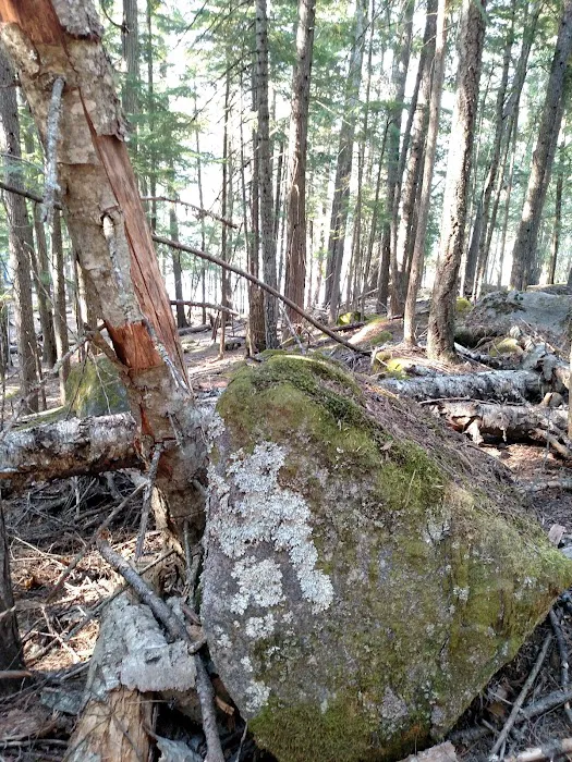 North Cove Campground Picture 7