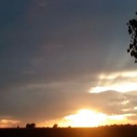 Watson's RV Park ico