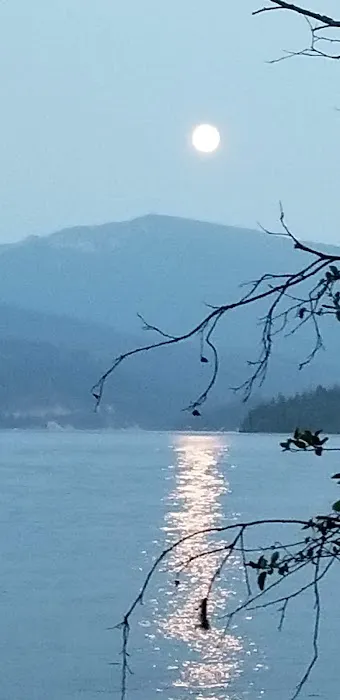 Rocky Point Campground Picture 1