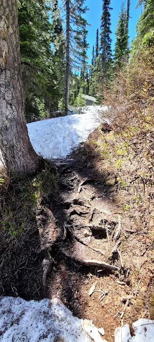 Two Mouth Lakes Picture 3