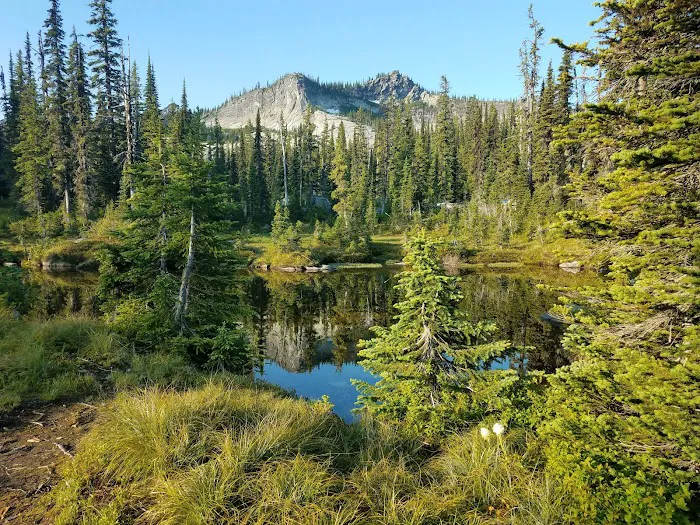 Two Mouth Lakes Picture 9
