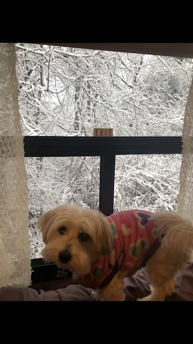 Big G’s RV Campground Picture 6