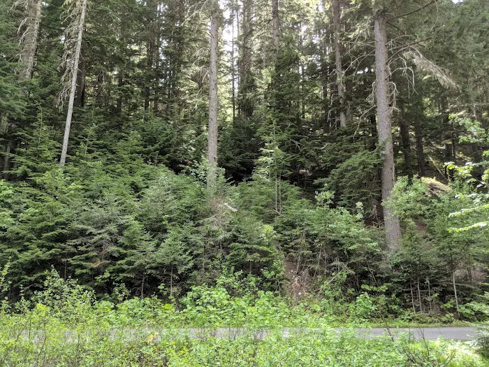 Honeysuckle Campground Picture 8