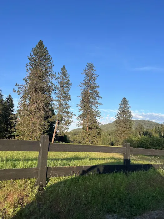 Honeysuckle Campground Picture 7