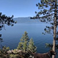 Whiskey Rock Bay Campground ico