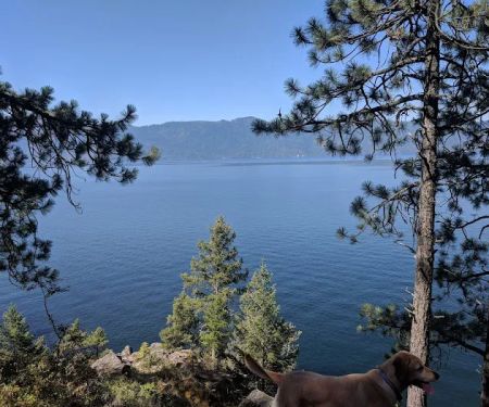 Whiskey Rock Bay Campground