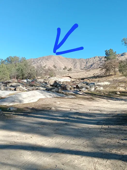 Whiskey Rock Bay Campground Picture 6