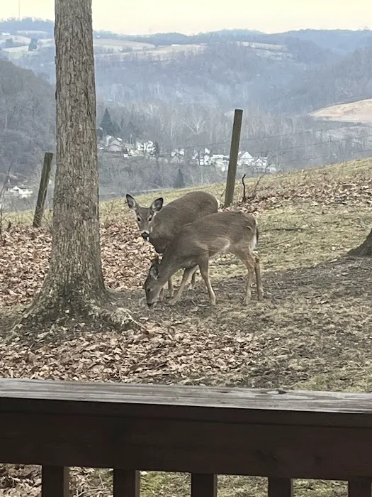 Alta Villa Estates Picture 3