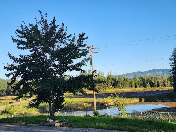 Alex’s Campground Picture 3