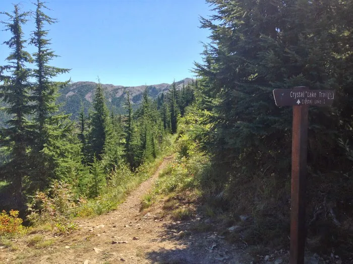 Lost Moose Campground Picture 6