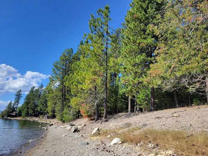 Sam Owen Campground Picture 8
