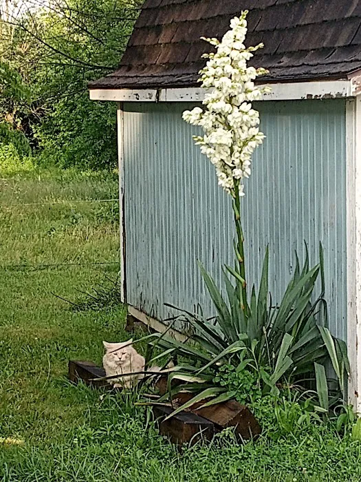 Glenridge Home Park Picture 1