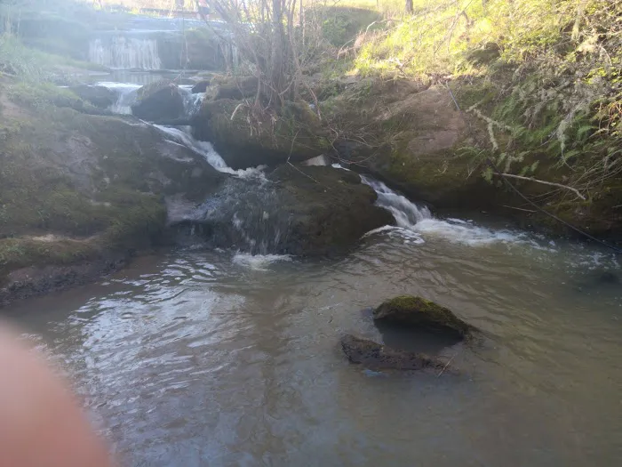 Glenridge Home Park Picture 8