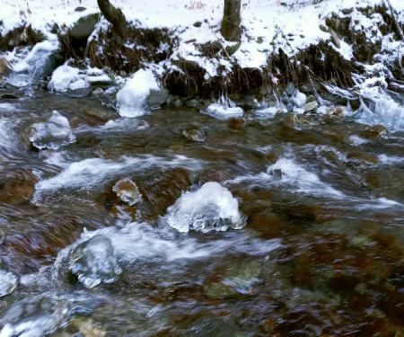 Huckleberry Campground