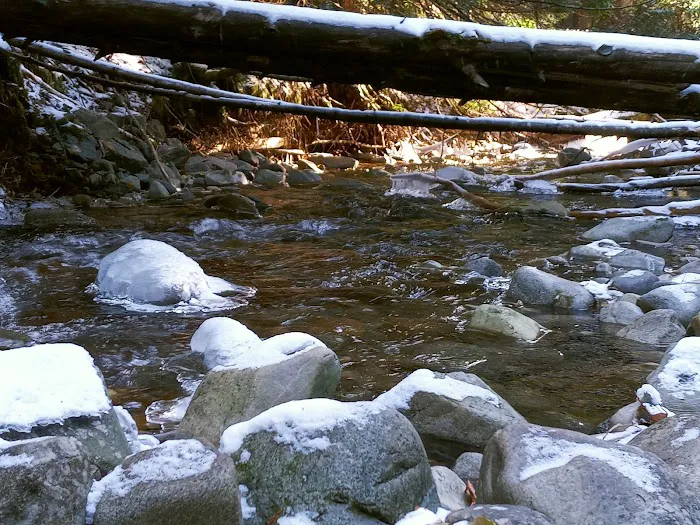 Huckleberry Campground Picture 2