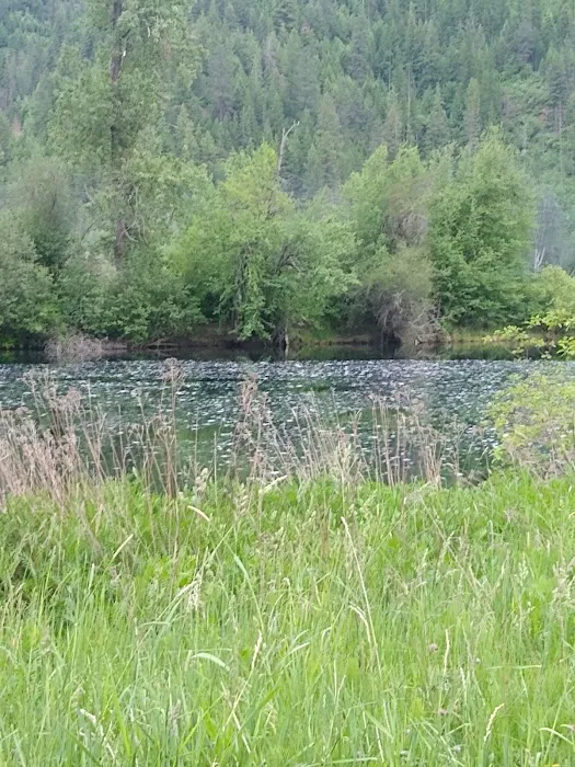 Misty Meadows RV Park Picture 2