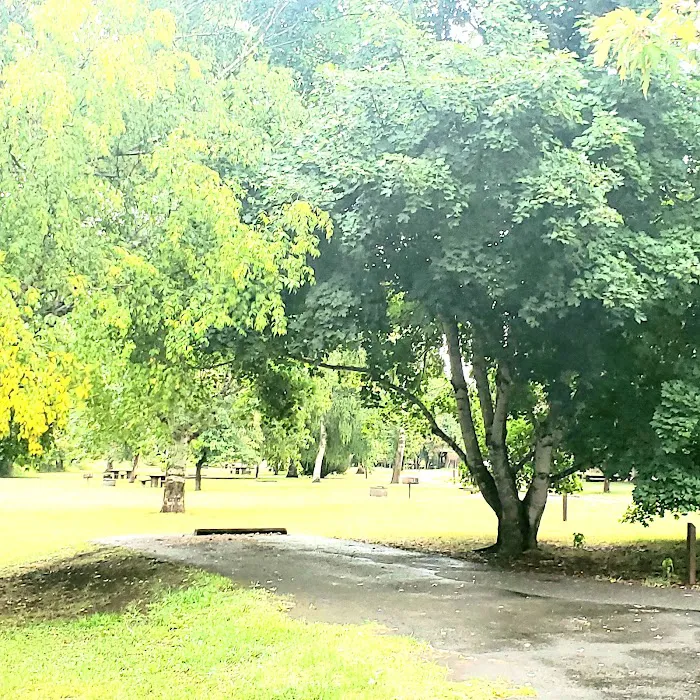 Shadowy Saint Joe Campground Picture 7