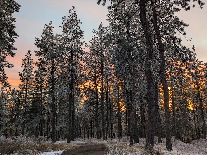 Iron Mountain Campground Picture 3