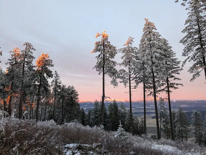 Iron Mountain Campground Picture 1