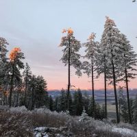 Iron Mountain Campground ico