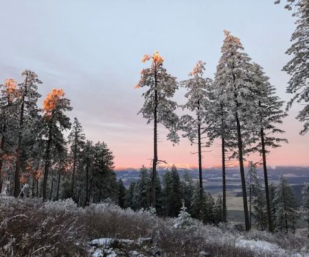 Iron Mountain Campground