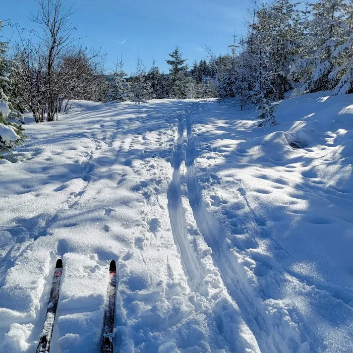 Palouse Divide Nordic Ski Area (recgovnpsdata) Picture 10