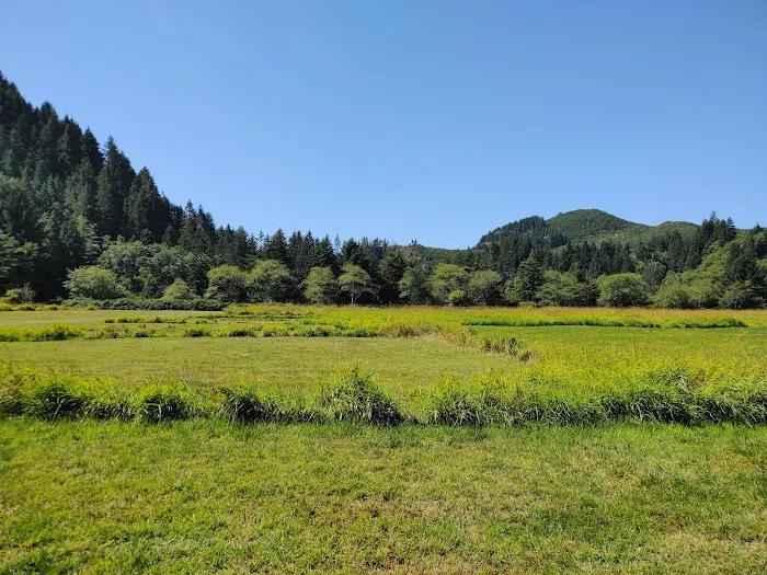 Chinook Bend RV Resort Picture 8