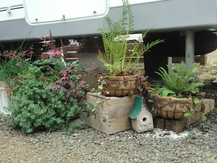 Sunset Landing RV Park Picture 4